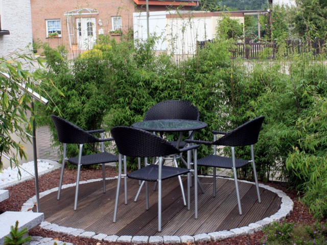 Fargesia 'Jiuzhaigou 1'2